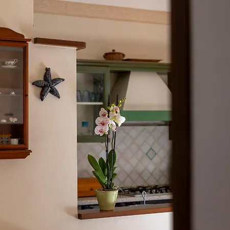 Ferienhaus Tra Tetti E Mare - Helloelba *